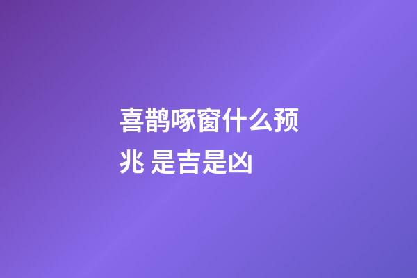 喜鹊啄窗什么预兆 是吉是凶